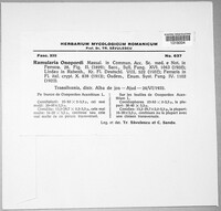 Image Associated With the Occurence